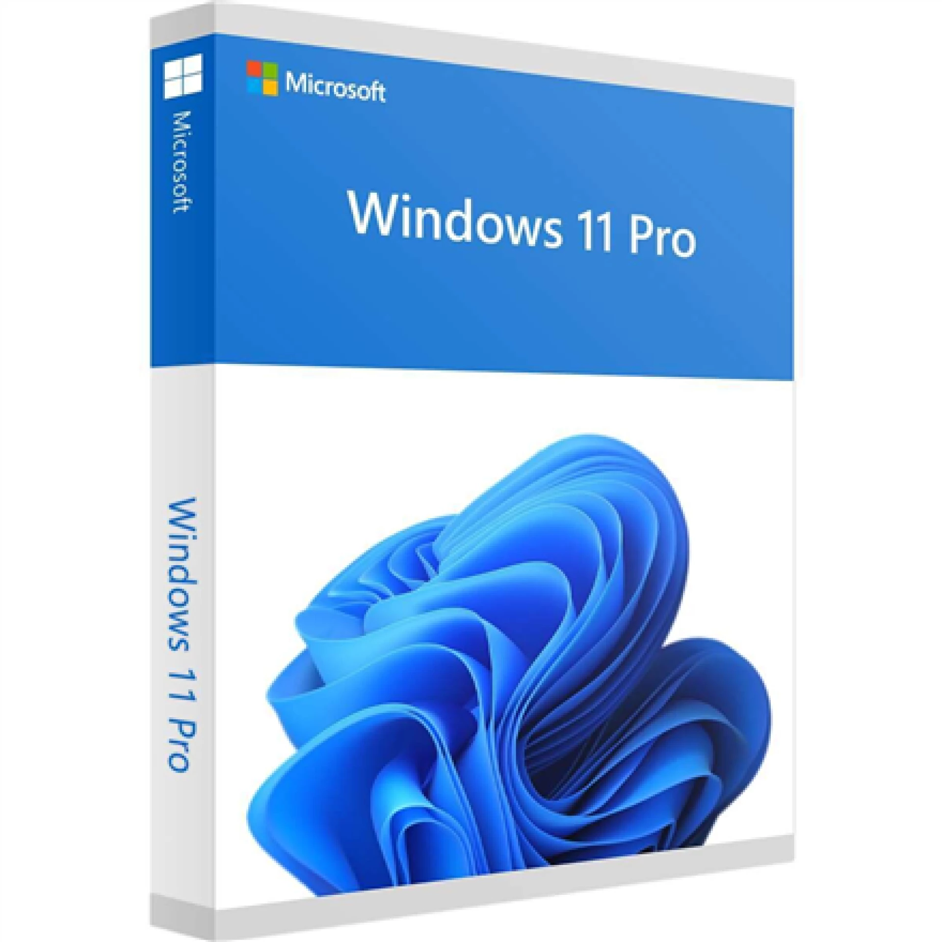 DSP Windows 11 Pro Eng 64-bit, FQC-10528