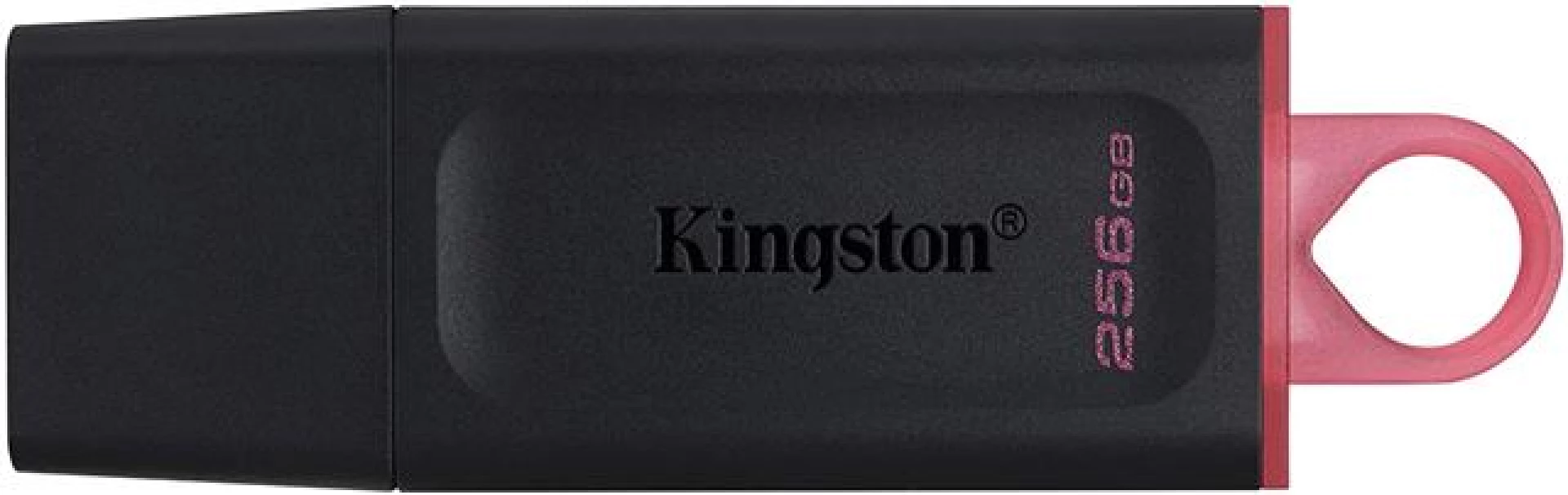 MEM UFD 256GB DTX KIN